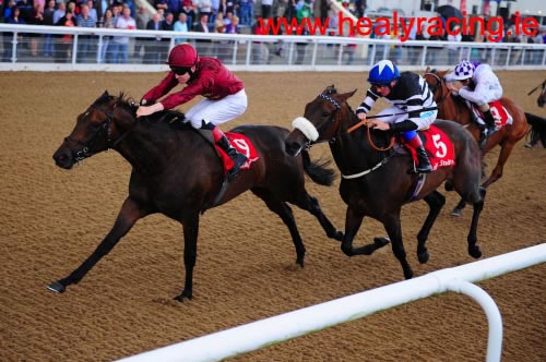 Seeking Luck Dundalk 19th August